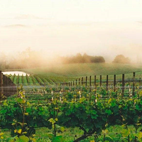 【百兴盛酒业】开瓶就被惊艳！塞维利亚庄园雅拉谷西拉子红葡萄酒（2021) ！