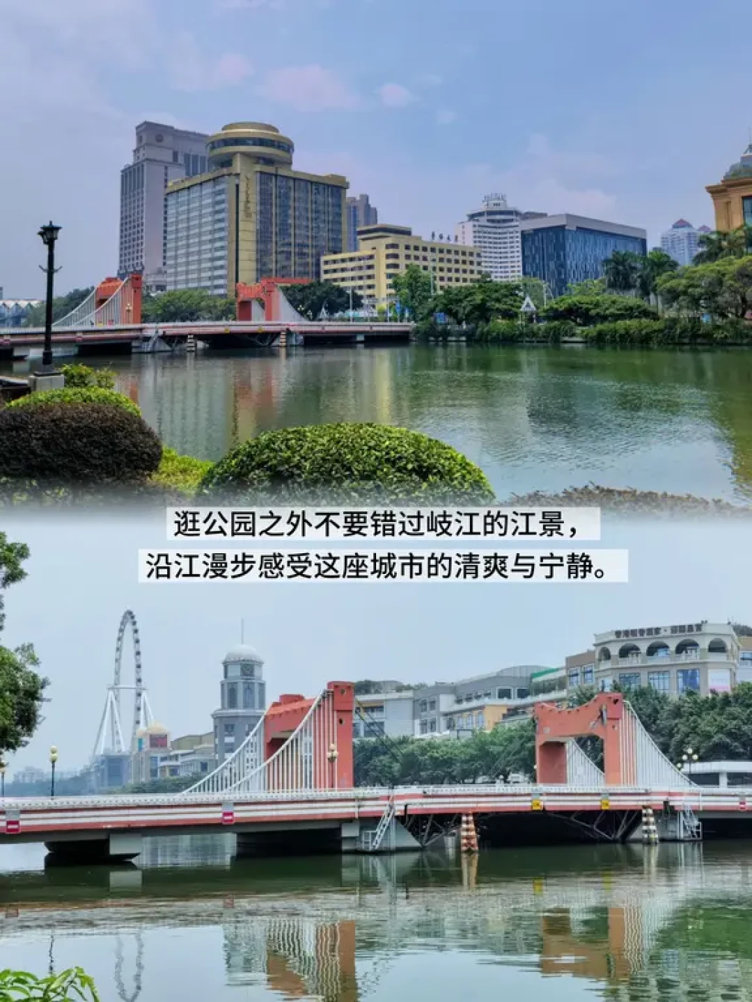 在中山📍刷了N次的免费天花板级别公园