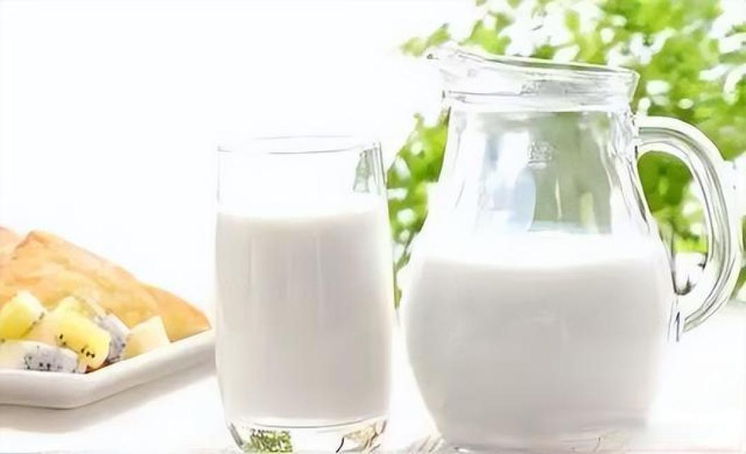 不要纠结美国新膳食指南的“倒三角”!