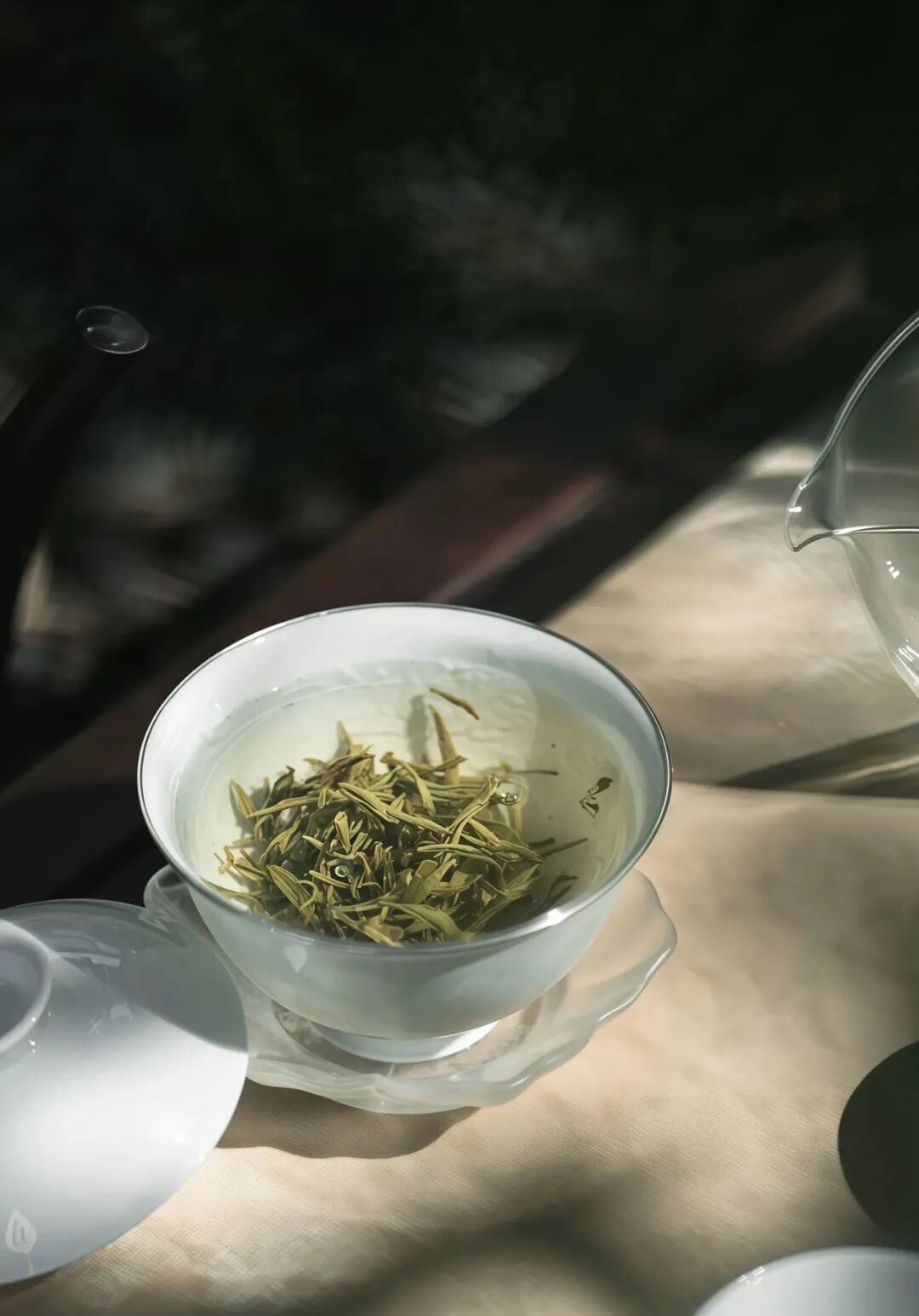 年关囤茶指南！西南人备点绿茶，解腻又舒服。