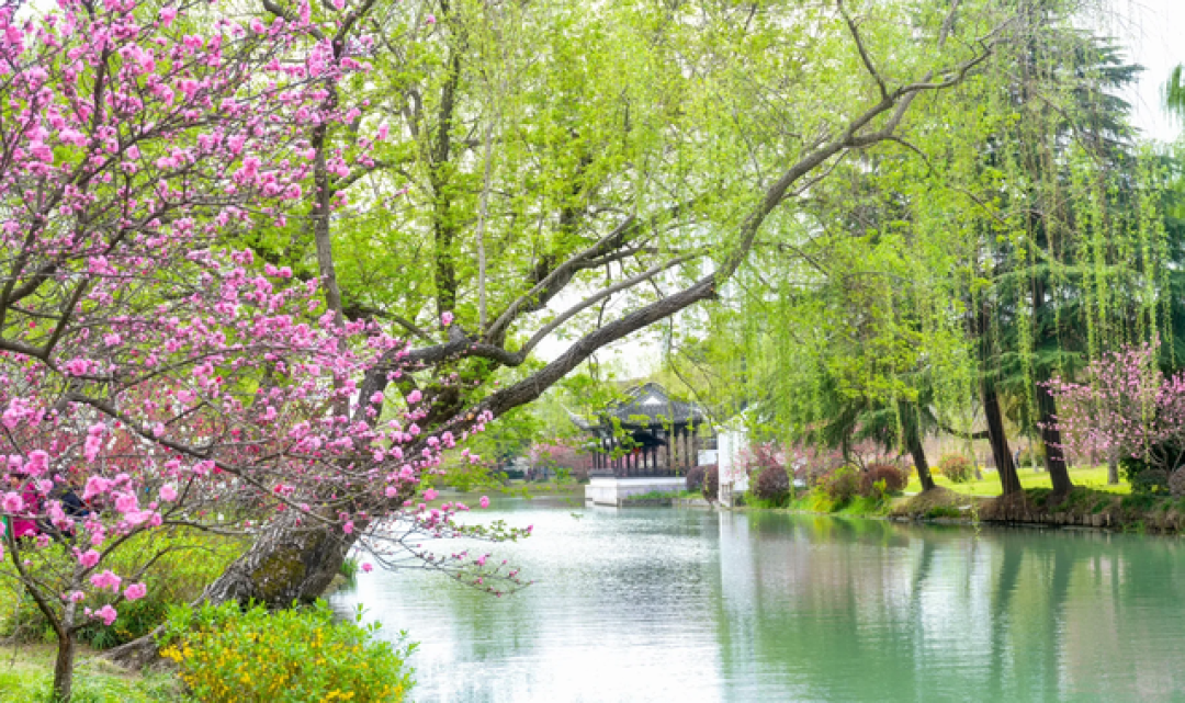 旅行圈公认“不踩雷”的6座城市:随手一逛就是风景