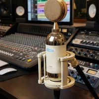 审视千元内的理性价值：Alctron 爱克创 CX5 大振膜电容麦克风评测