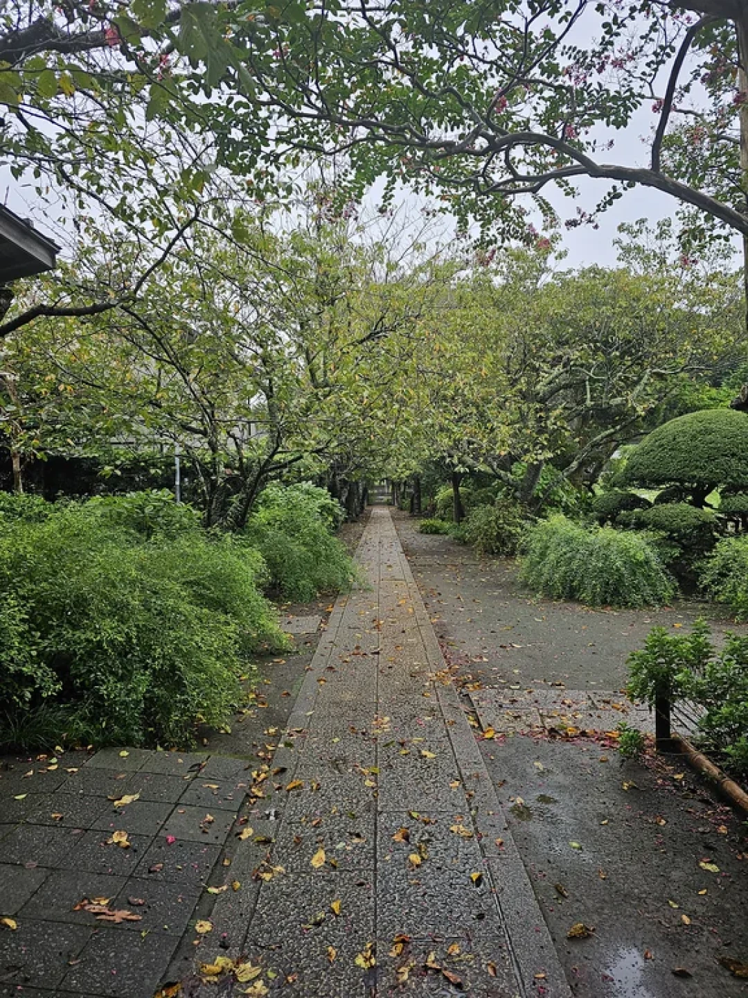 韩剧“爱情怎么翻译”取景地•日本镰仓篇