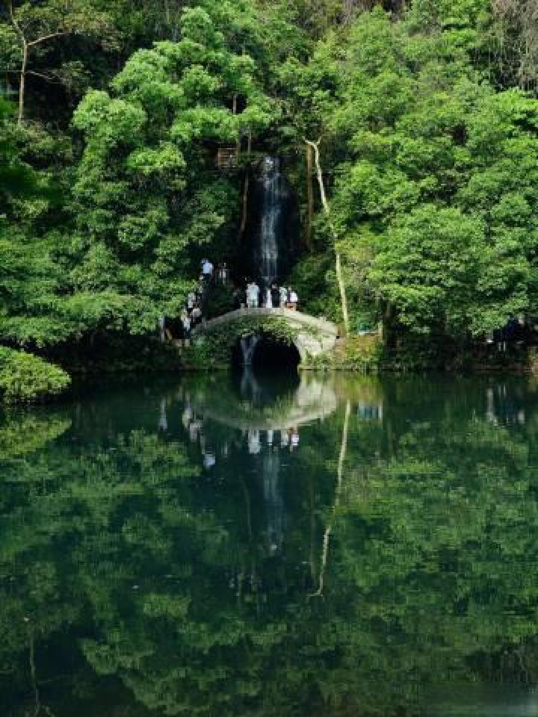 误入杭州现实版绿野仙踪，在云栖竹径的竹海光影中寻找武侠梦