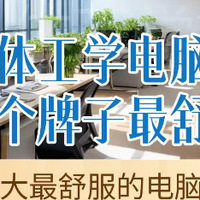 人体工学电脑椅哪个牌子最舒服？十大最舒服的电脑椅