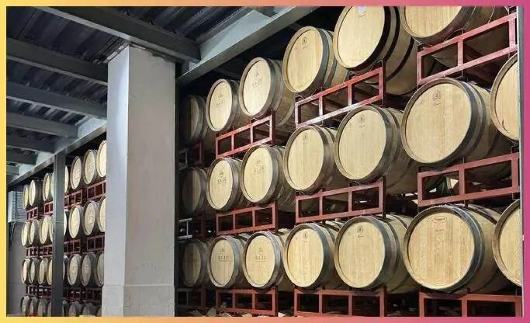 放了10年的红酒还能喝吗？葡萄酒的保质期是多久？涨知识了！