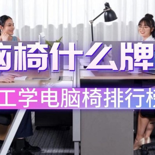 电脑椅什么牌子好?人体工学电脑椅排行榜