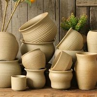 茶壶、花器养绿植?这几种植物最不容易翻车