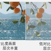 Mini LED进入下半场：TCL下放SQD技术，要颠覆高端电视市场？