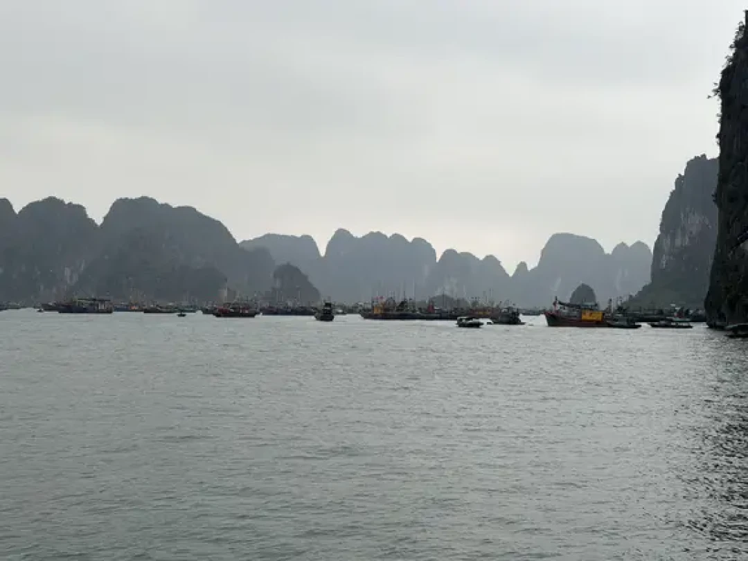 🛳️越南下龙湾|邮轮自由行一日游🇻🇳