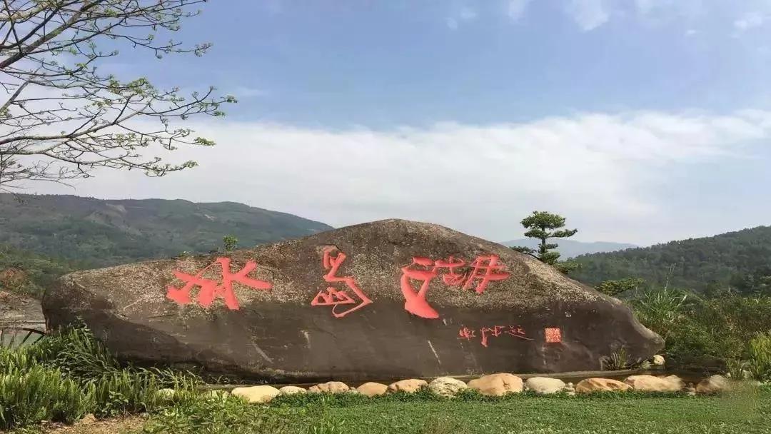 为何说“班章为王,冰岛为后”?看完这篇文章,彻底明白了