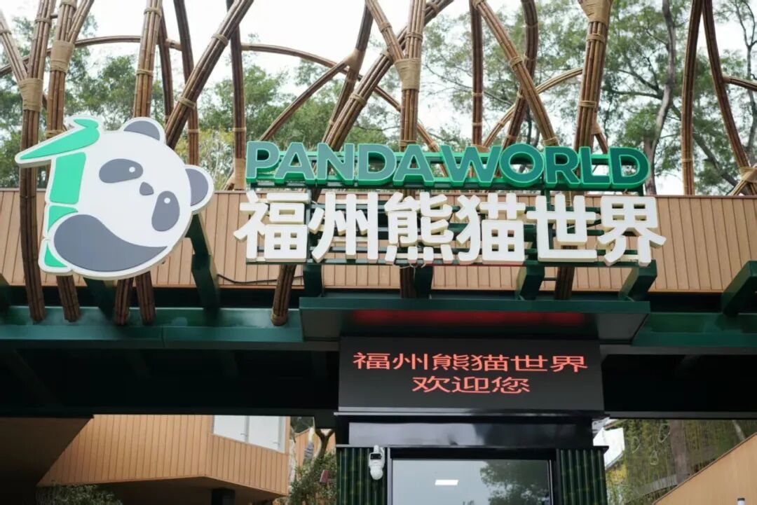 福州熊猫世界带娃攻略,超详细、快冲!