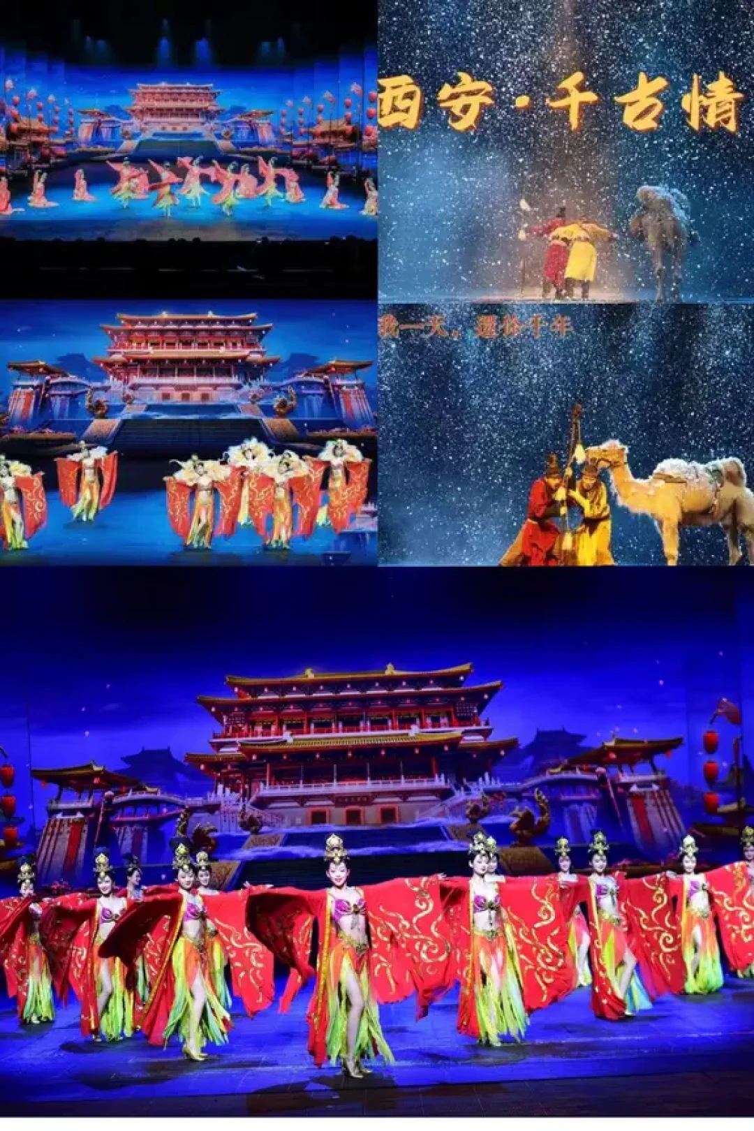 西安旅游西安四大演出怎么选?看哪一个?攻略