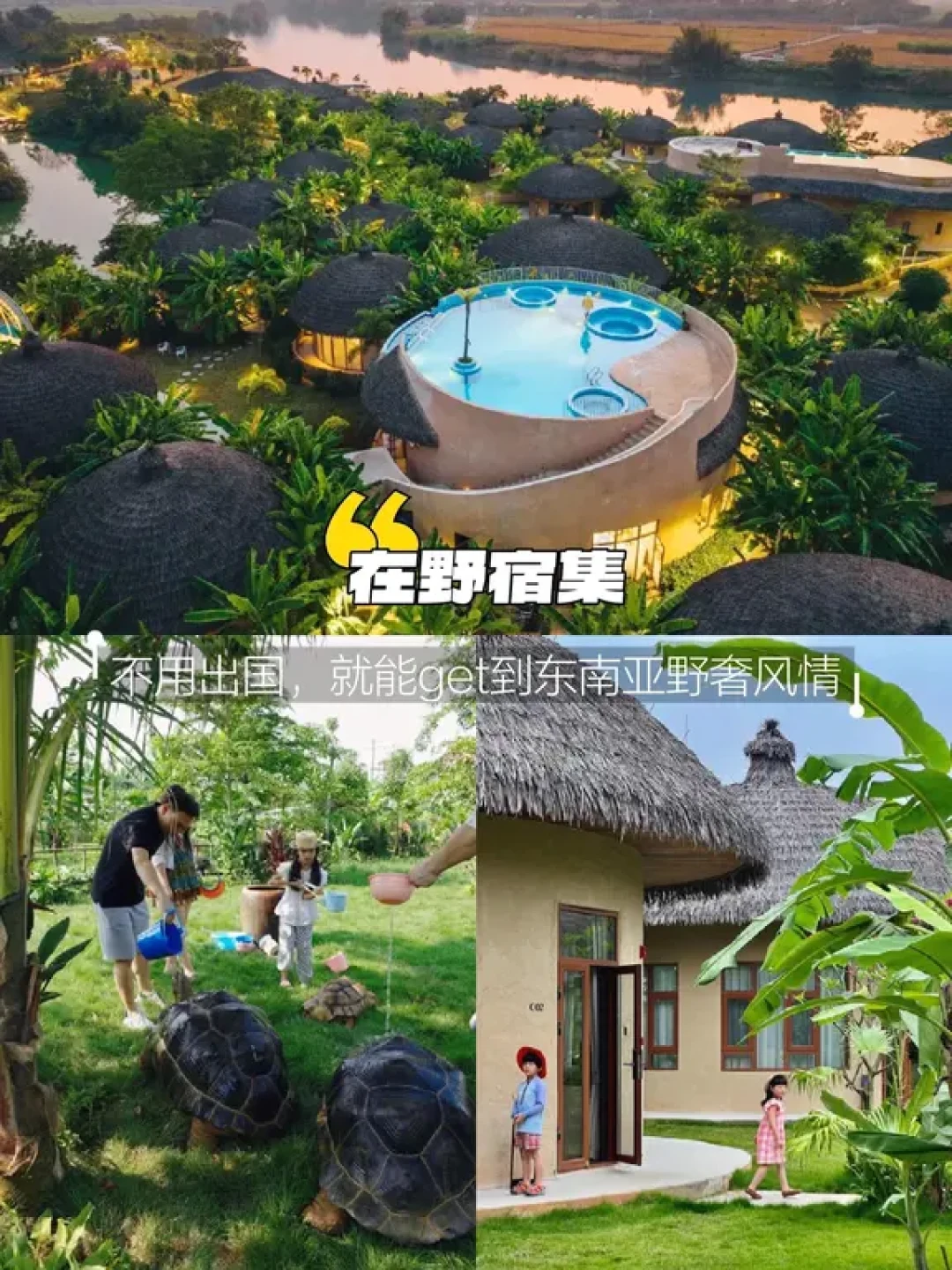 寒假带娃冲崇左|23℃暖冬带娃感受大自然
