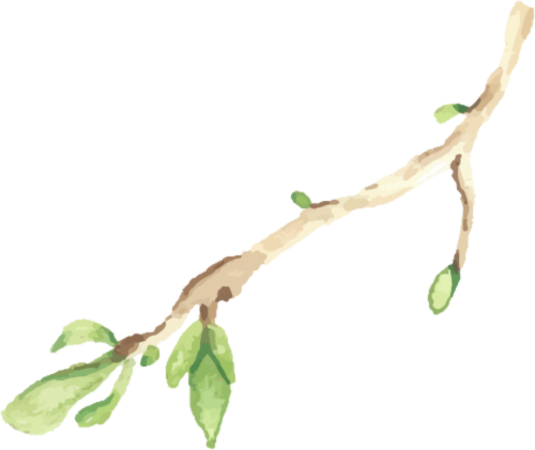 教师荐书040期《她要自己去买花》