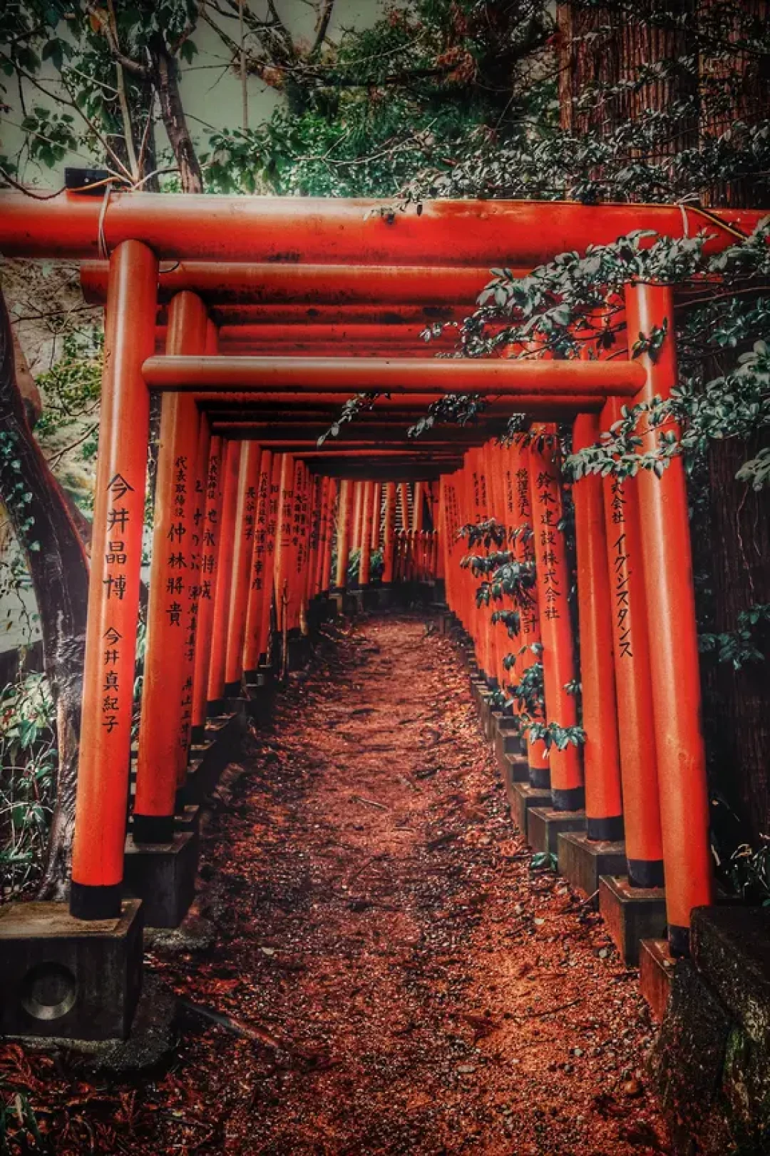 Fujifilm X100VI 旅遊照