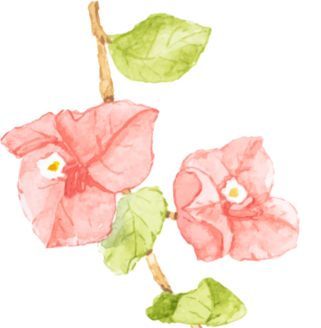 教师荐书040期《她要自己去买花》