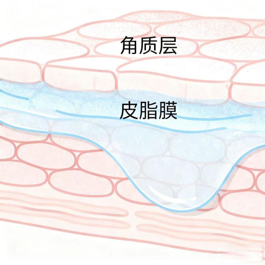 冬季皮肤大作战