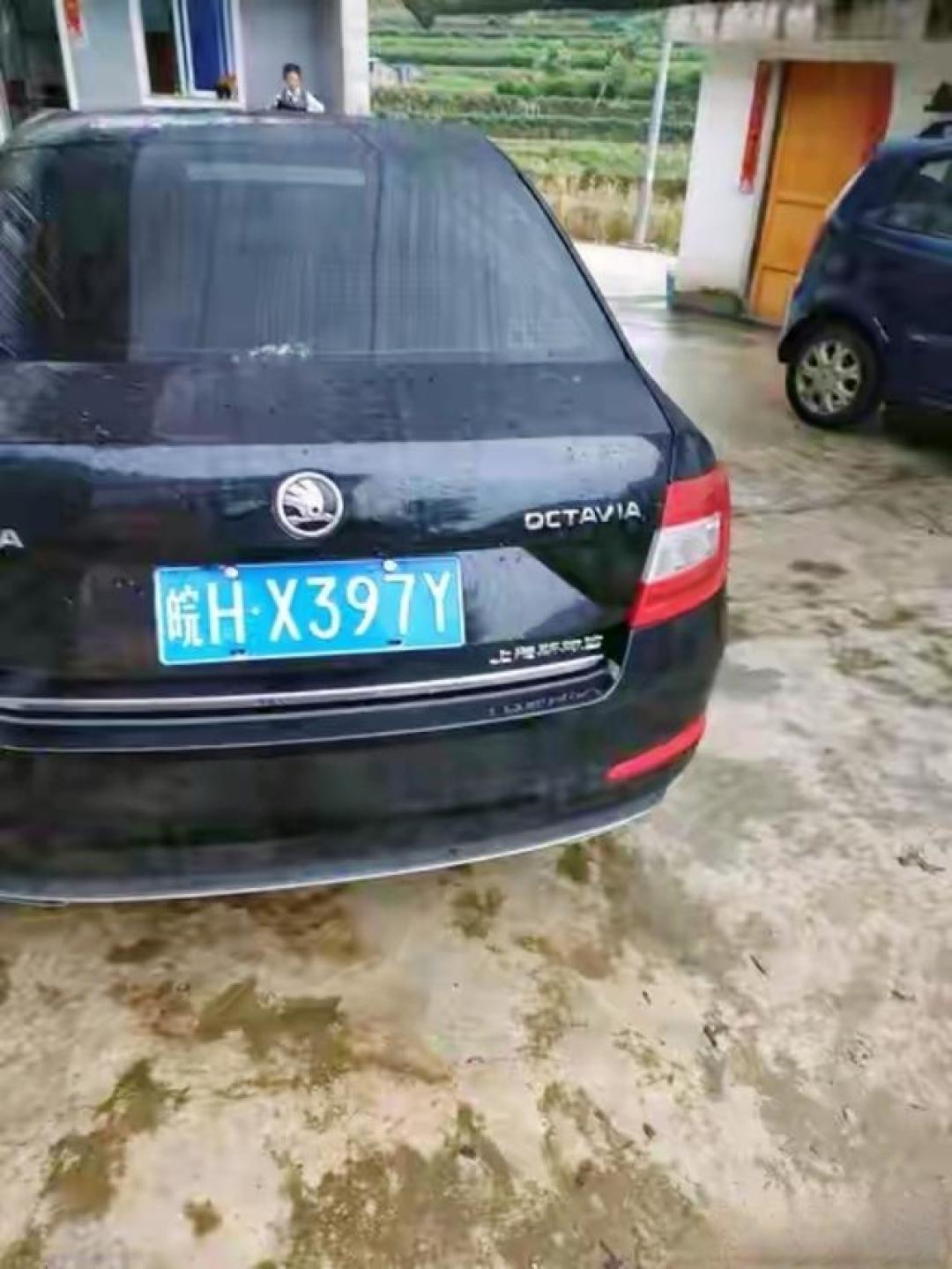 专家揭示真相：未来6个月慎买新车，背后原因太戳心