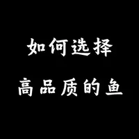 选择高品质的观赏鱼 最简单最直接的方法教你选择高品质的观赏鱼。#水族 #观赏鱼 #养鱼日记 #家庭宠物护道者