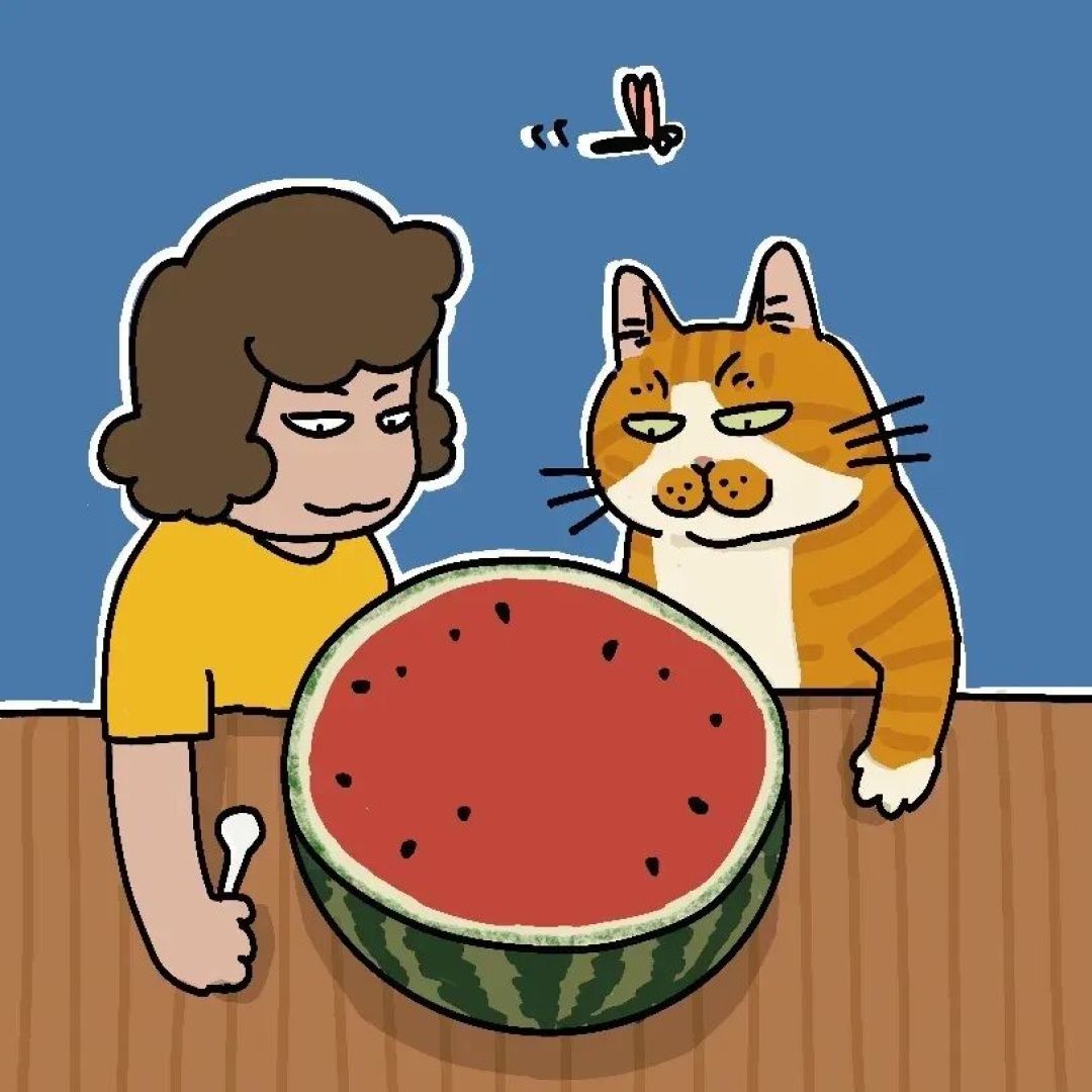 养猫家庭安全须知,家长必读~