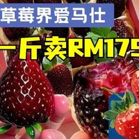 【黑草莓】300多元/斤,草莓届“爱马仕”!是智商税吗?生鲜零售是观望还是跟进?