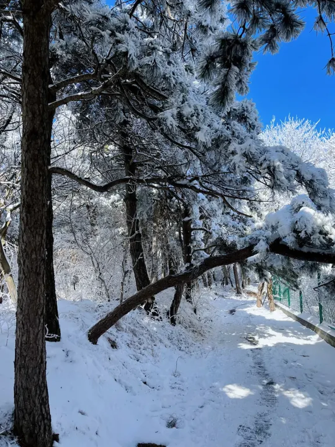 河南有自己的雪山啦!