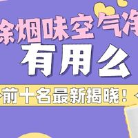 2026除烟味空气净化器有用么？空气净化器除烟味前十名最新揭晓！