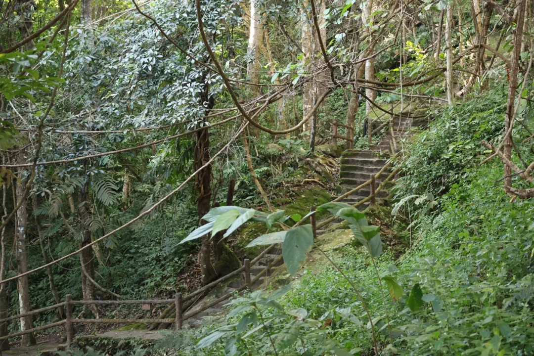 没有游客的云南小众秘境！西盟龙摩爷圣地