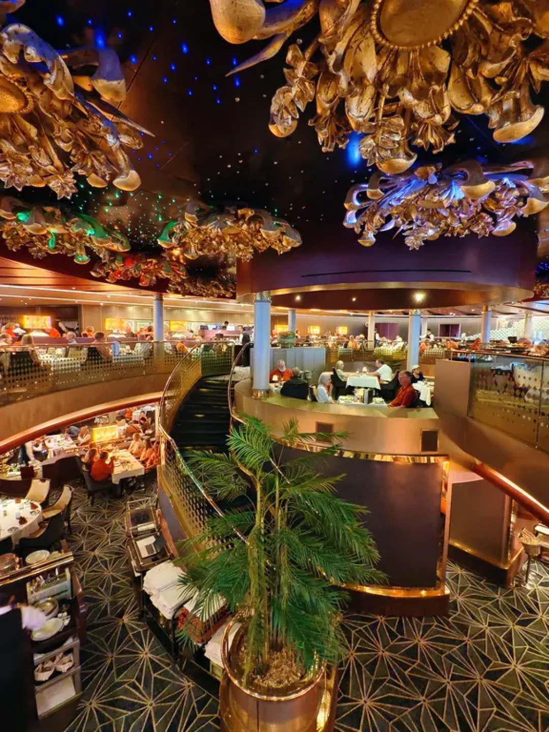 2万元环游加勒比🛳️邮轮21天17港口