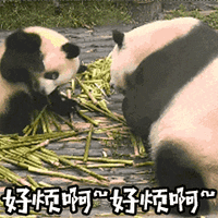 从“干燥结痂”到“湿润修复”，湿性愈合让伤口少留疤！