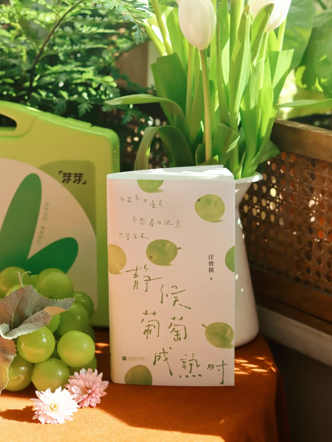 冬日宅家读书画画，静待春天~