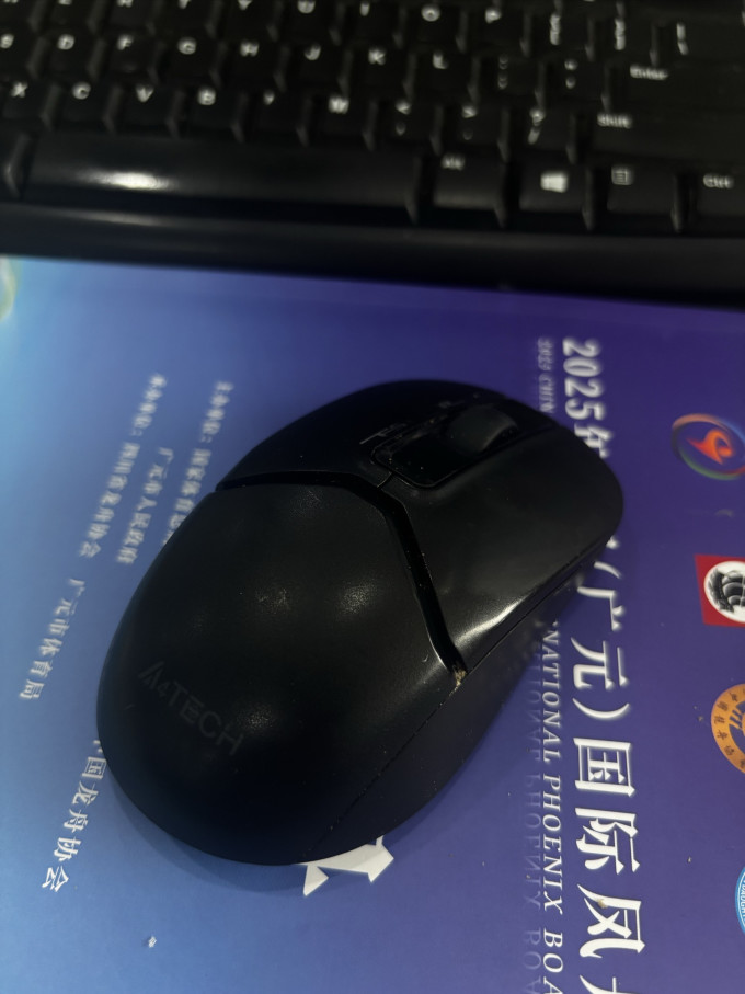 双飞燕鼠标