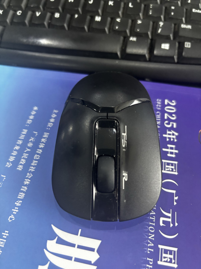 双飞燕鼠标