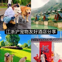 plog | 分享带狗江浙沪住的宠物友好酒店