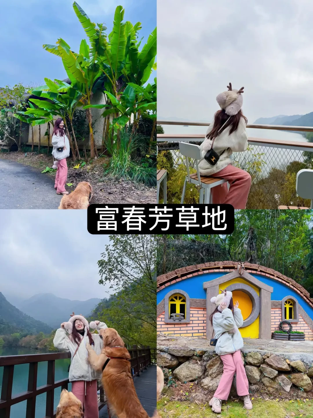 plog | 分享带狗江浙沪住的宠物友好酒店