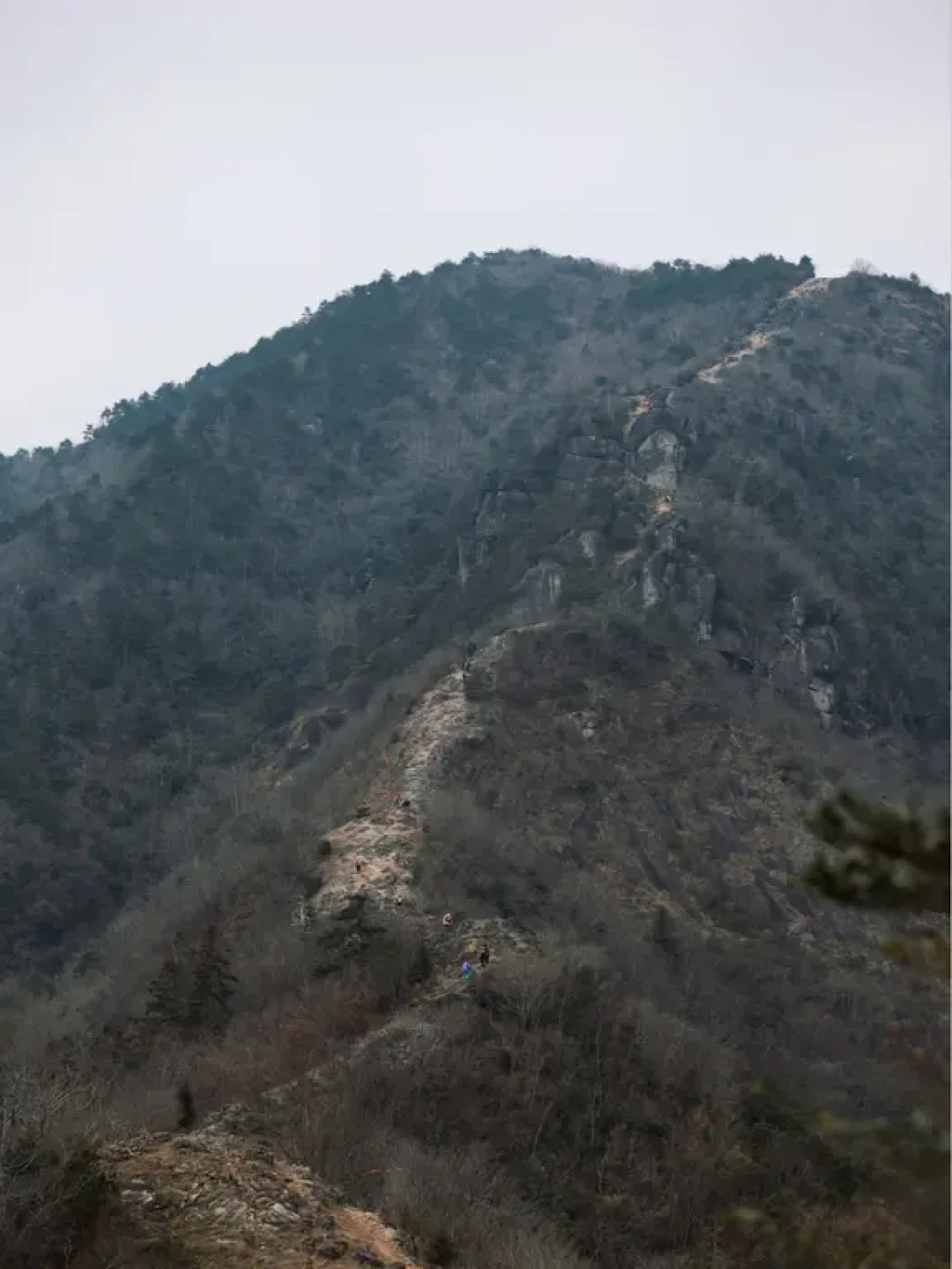 ⛰️大雷山｜浙江台州小武功山徒步路线