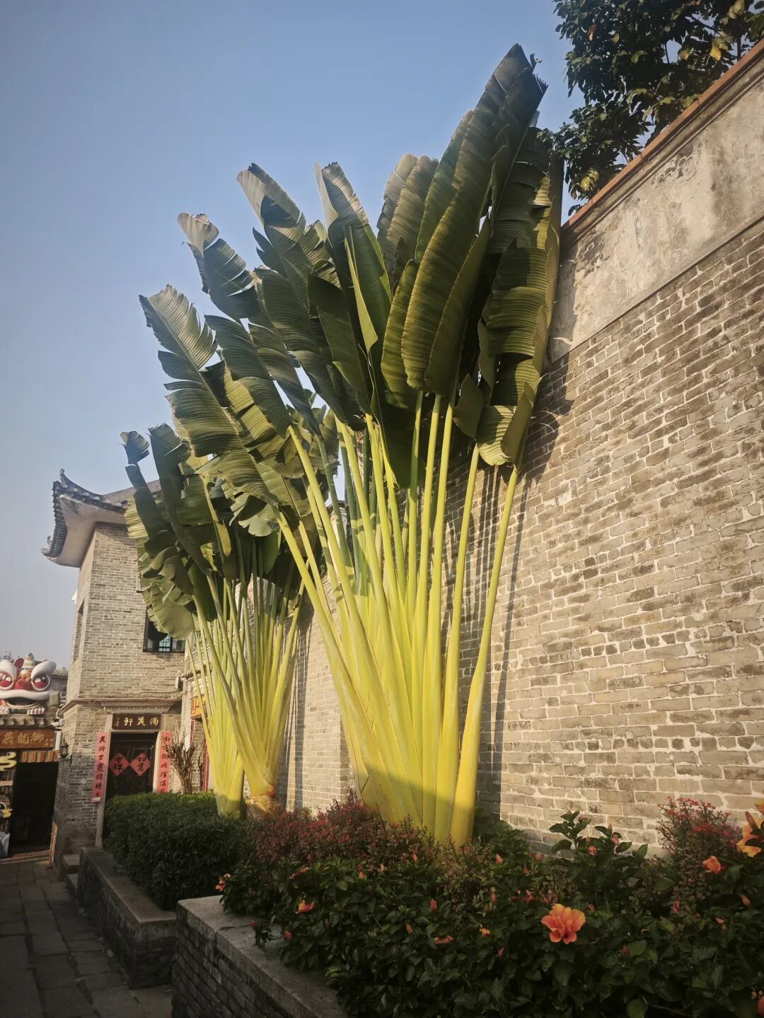 不在景德镇,这里是广州地铁直达500年历史的古窑秘境,遛娃拍照超级出片!