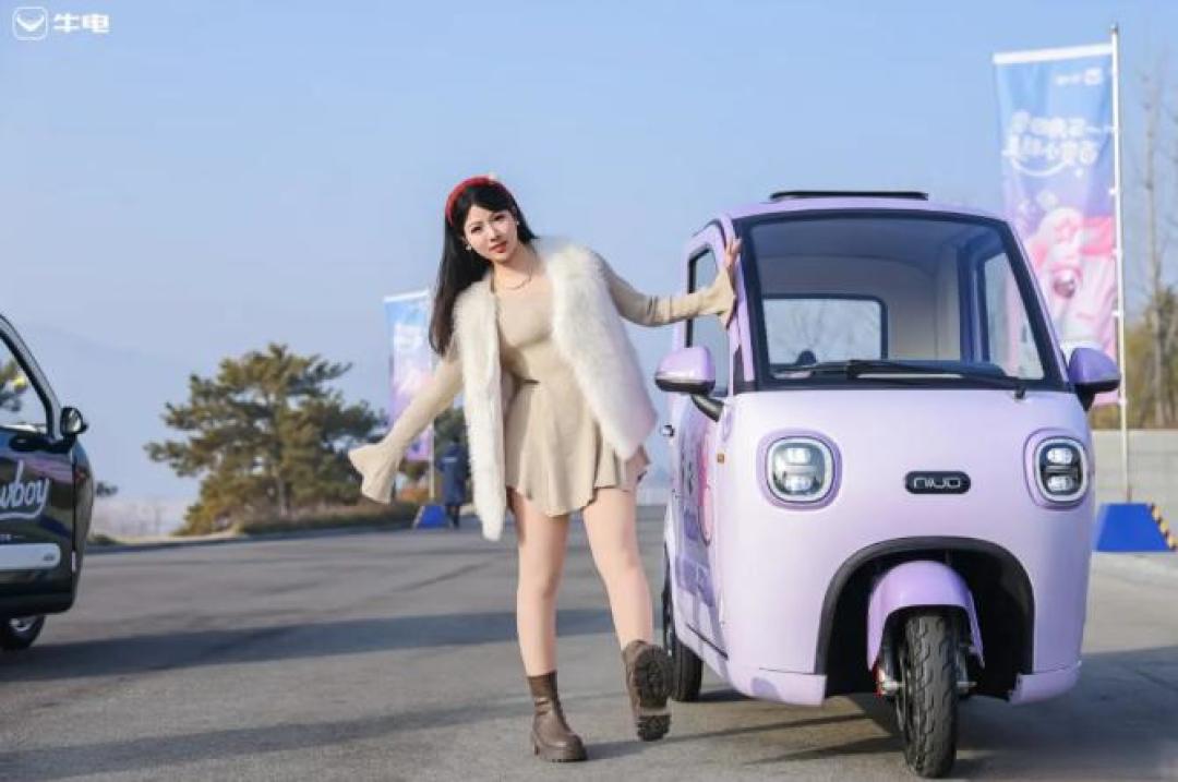 更懂中国家庭的代步车,盘点新年上市的2款三轮篷车