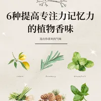 6种提高专注力记忆力的植物香味