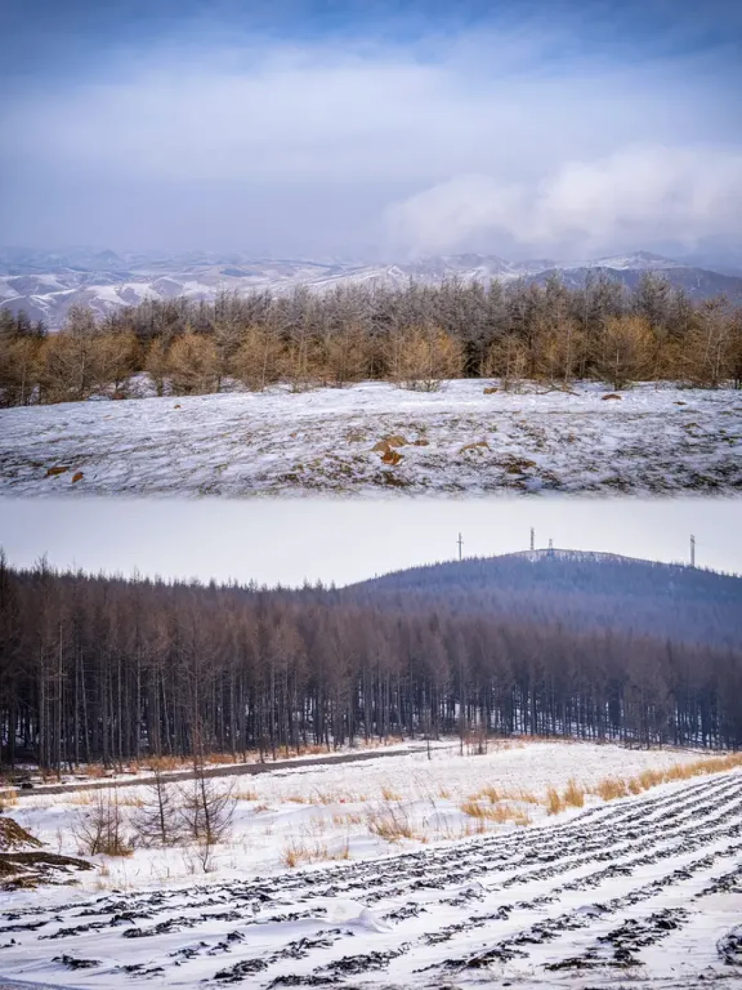 零下二十度❄️徒步桦皮岭⛰️