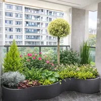 阳台花箱改造｜8种植物搭出治 愈系小森林