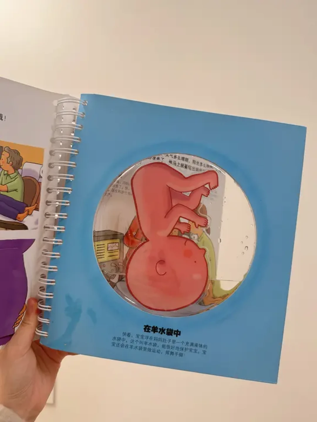 送绘本,伴成长~3岁宝宝硬壳绘本礼单📖