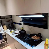 36岁林更新的“豪宅”火了,全屋简约大方,摆满手办公仔,好喜欢