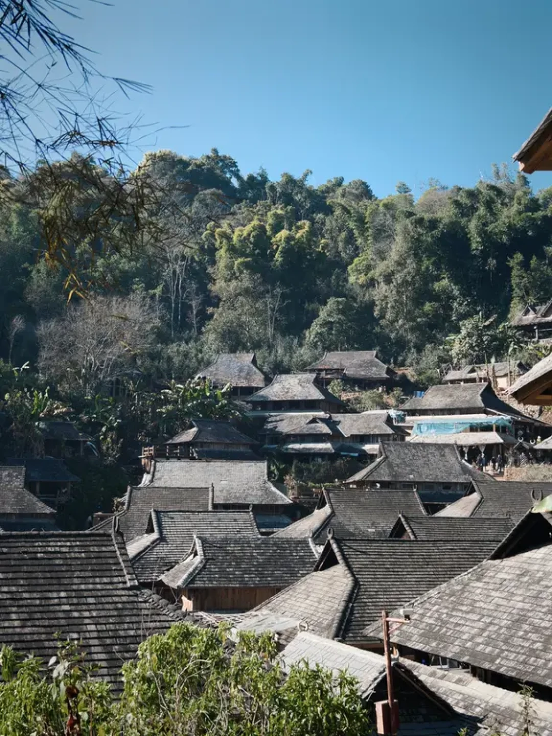 景迈山刚回⛰️|很美也很痛苦