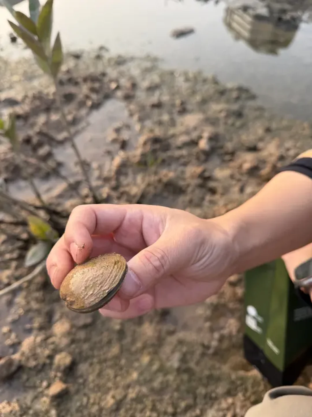 深圳周边可生火小众野生露营地推荐
