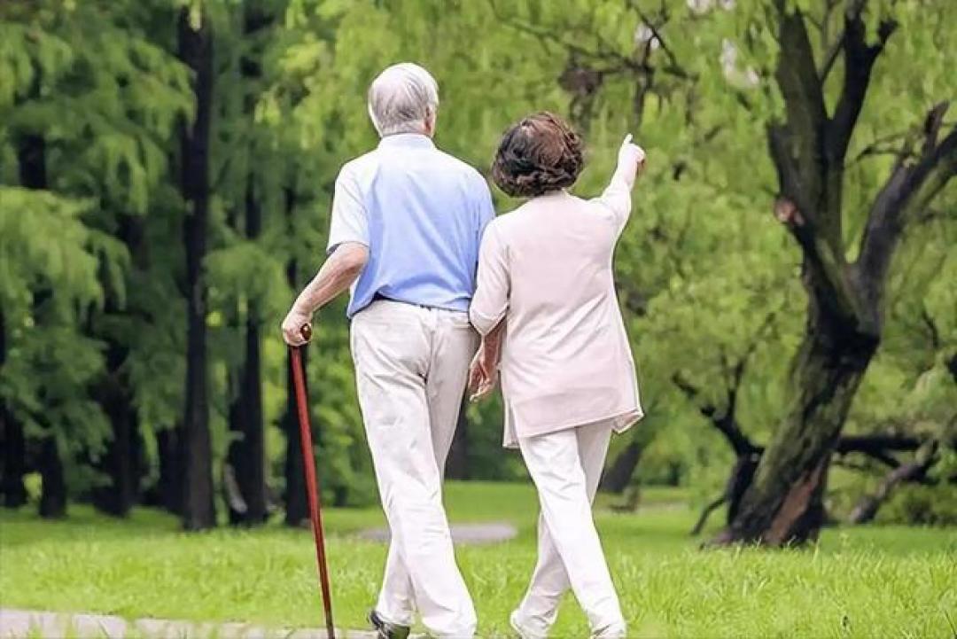 散步半小时不对?医生忠告:年过 70 岁,散步尽量做到这 5 点!