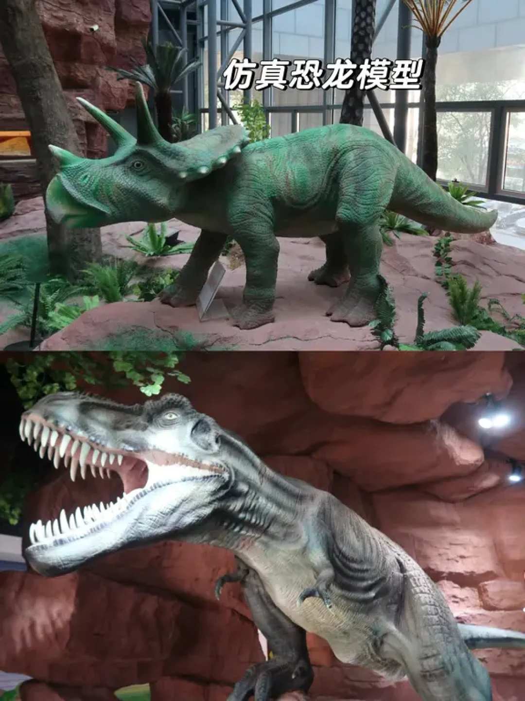 南京遛娃好去处|免费看恐龙巨型真骨化石🦖