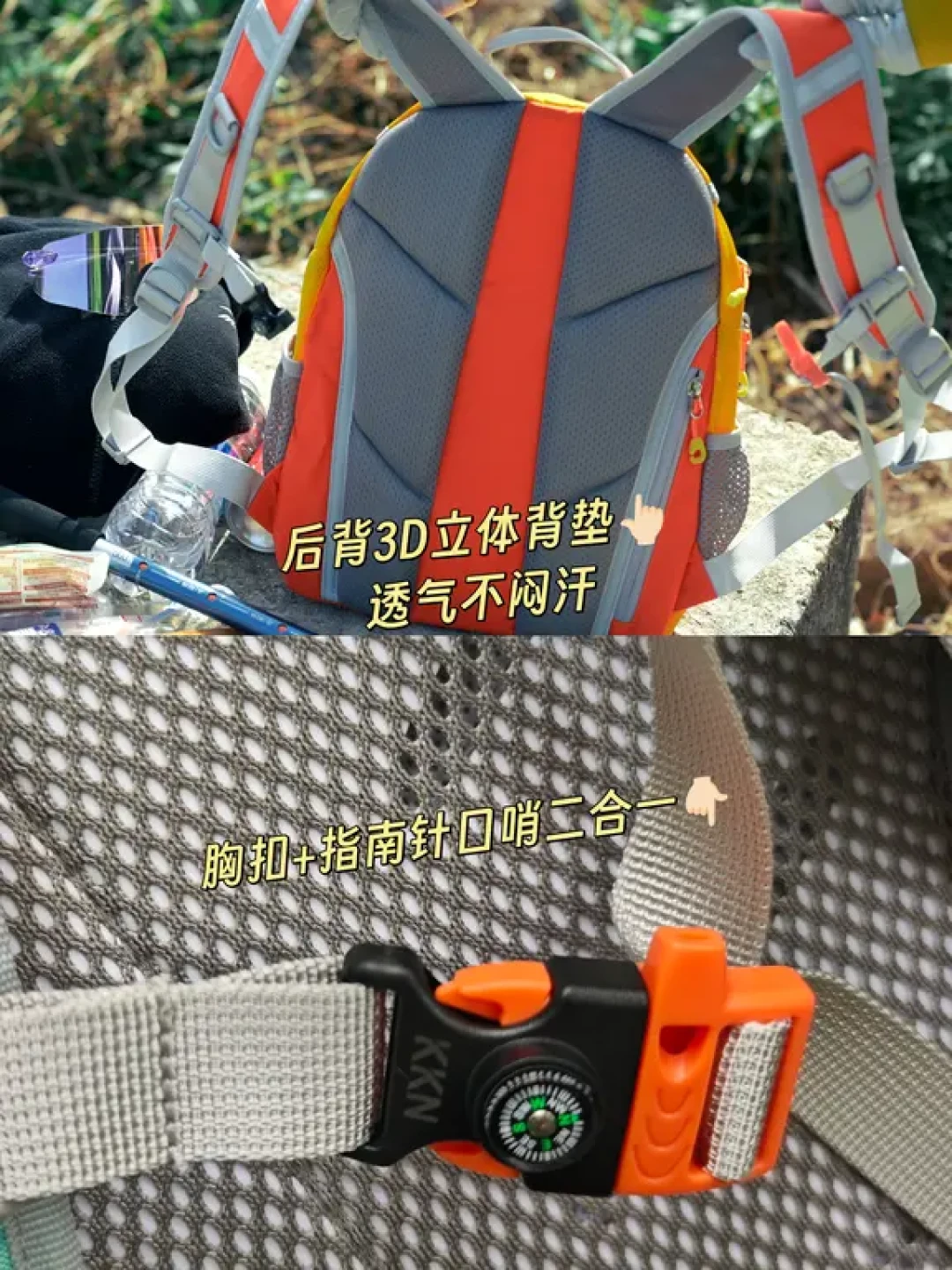 缥缈峰徒步&免费赏海鸥❗附不堵车停车点