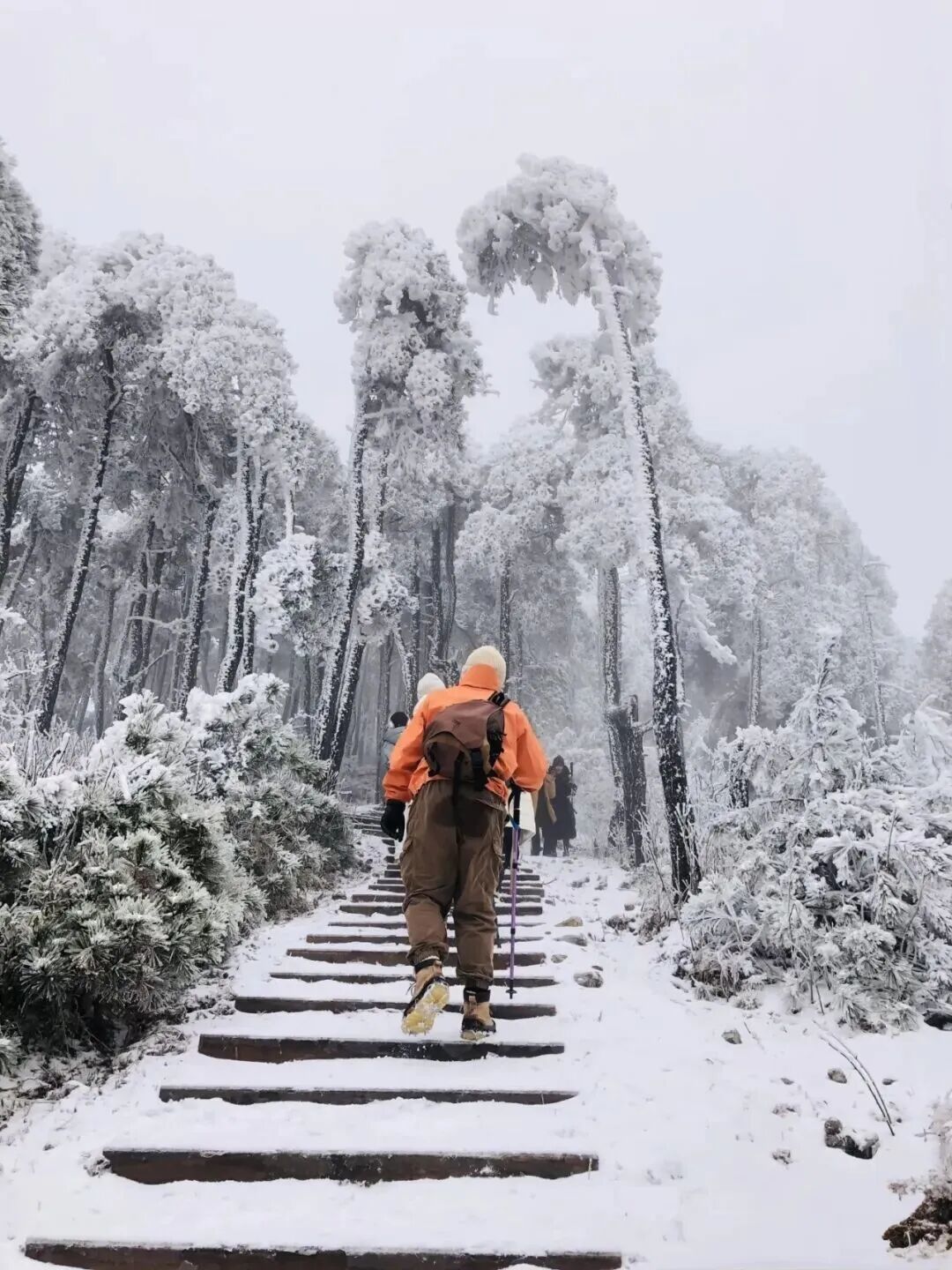 登山赏雪装备指南：从“三层穿搭”到“关键装备”的完整清单【清单附最后】